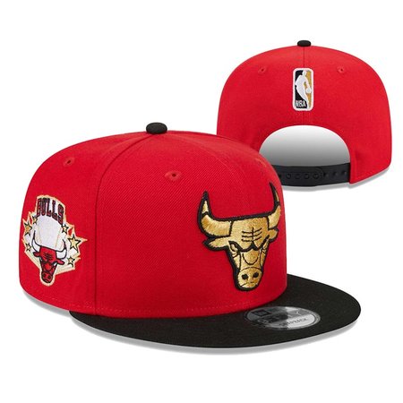 Chicago Bulls Snapback Hat